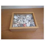 Wooden Glass Front Box With Seashells