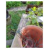 Misc. Plant Supports & Shepard
