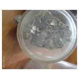 Fossil Collection, Stingray Egg, And Bones