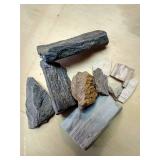 Petrified Wood Pieces