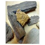 Petrified Wood Pieces