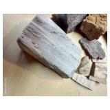 Petrified Wood Pieces