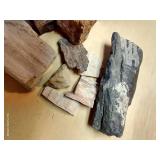 Petrified Wood Pieces