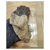 Assorted Rock Lot, Volcanic, Quartz, Etc.