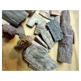 Small Assortment Of Petrified Wood