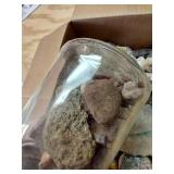 Box Of Assorted Rocks