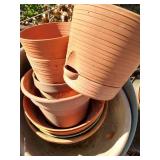 Plastic Pots Lot