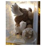 Box of Big Shells & Jar of Chrystals