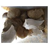 Box of Big Shells & Jar of Chrystals