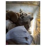 Box of Big Shells & Jar of Chrystals