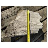 Large (9x14) Chunk of Petrified Wood