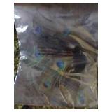 Brand New Peacock Feather Wing Costume