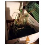 Numerous Aquariums & Aquarium Equipment/Attachments