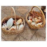 Steel & Glass Shelf/Sea Shells & Décor Lot