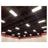 Ceiling Light Assemblies w/ Conduit & Wiring