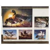 Ducks Unlimited Framed Picture