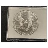 2000 Silver American Eagle Uncirculated Colored