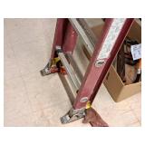 Werner Electro-Master 225-lbs 20