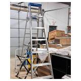 Werner Heavy Duty 250-lbs 8