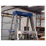 Werner Heavy Duty 250-lbs 8