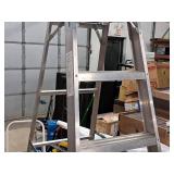 Werner Heavy Duty 250-lbs 8