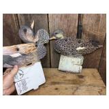 Unusual Blackwater Positionable Duck Decoys