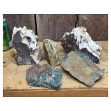 Petrified Wood-Cut Mineral Samples