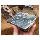 Petrified Wood-Cut Mineral Samples