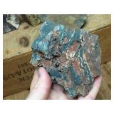 Petrified Wood-Cut Mineral Samples