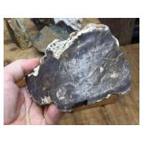 Petrified Wood-Cut Mineral Samples