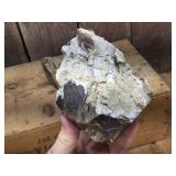 Petrified Wood-Cut Mineral Samples