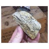 Petrified Wood-Cut Mineral Samples