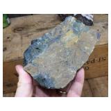 Petrified Wood-Cut Mineral Samples