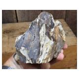 Petrified Wood-Cut Mineral Samples