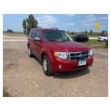 2010 Ford Escape