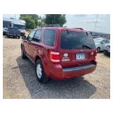 2010 Ford Escape