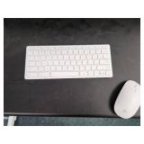 ProBalance360 and Mechanical Motion Therapy System, (2) ProSoft GT Guns, Computer