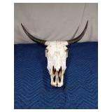 Yak skull with horns