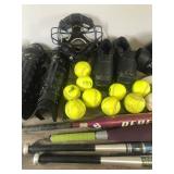Lot of Baseball & Softball Equipment