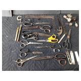 Upholstery scissors and other tools