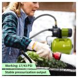 Green Expert 1 HP Shallow Well Water Pump