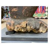 LARGE Old Mambila Standing Male Tadep Statue