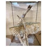 LARGE "Walking Stick" Insect Specimen w/Display Case - New Guinea - Phasma Reinwardfii