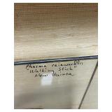 LARGE "Walking Stick" Insect Specimen w/Display Case - New Guinea - Phasma Reinwardfii