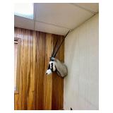 Large Genuine African Oryx Taxidermy Mount