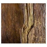 "If the Foundation be Destroyed" Original Textured Abstract Artwork by K Daphnae Koop