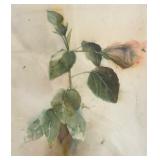 Original Watercolor Painting by Mario Fallani
