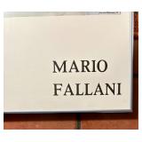 Mario Fallani Galleria Poster Print