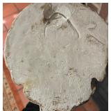 Mask of Faun Wall Hanging