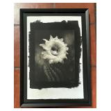 Cactus Flower Artist’s Print by Cy DeCosse
